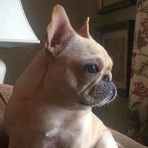 Meet your Posher, Leslie